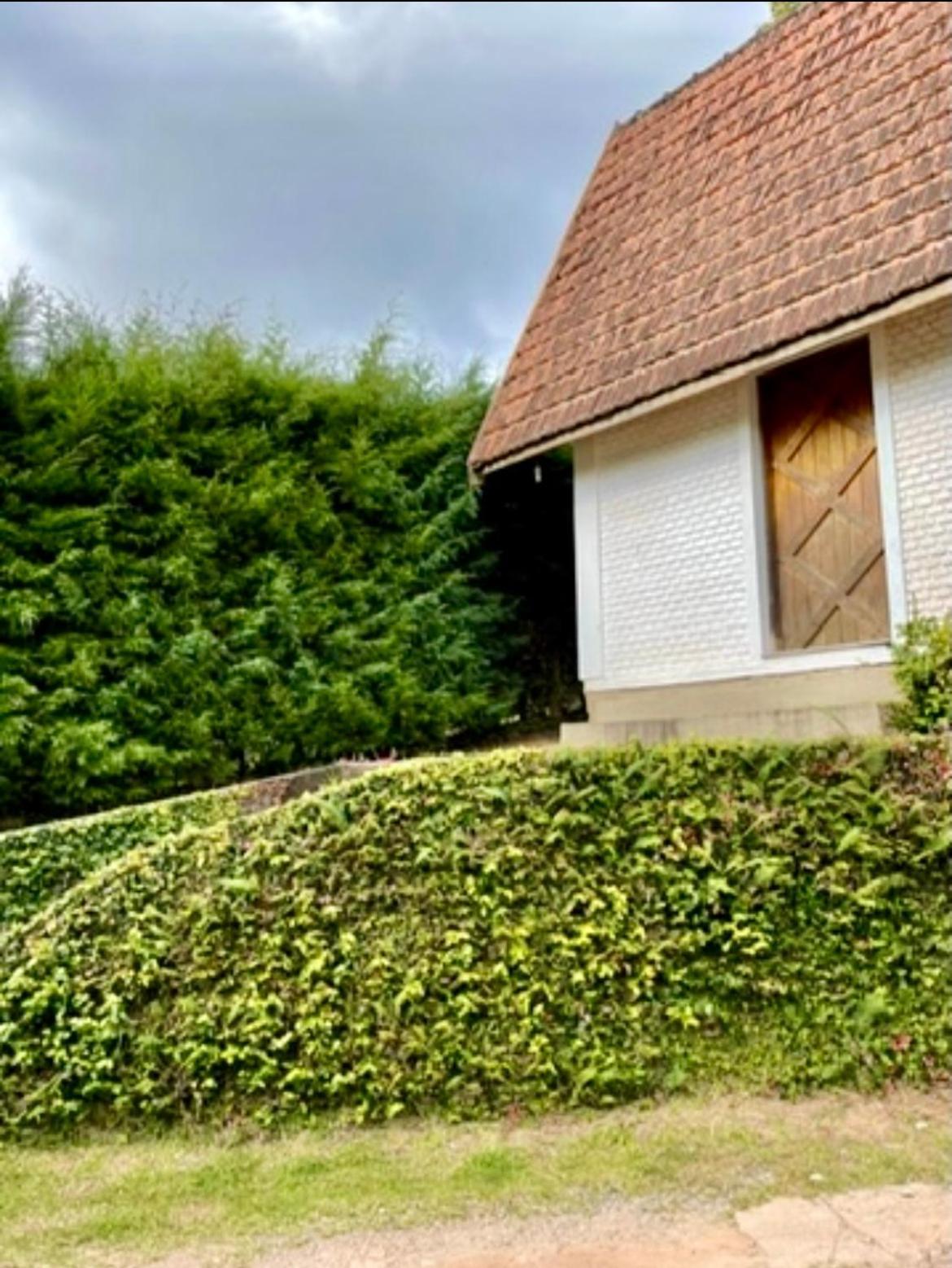 Casa Tragaluz *
